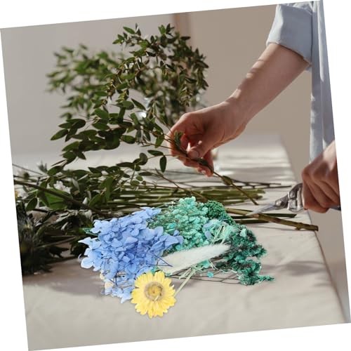 Kit de flores prensadas naturales para manualidades miniatura 4