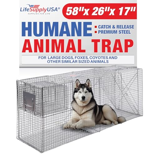 Heavy Duty Catch Release X-Large Live Humane Animal Cage Trap Small Bait Cage Included for Foxes Dogs and Other...