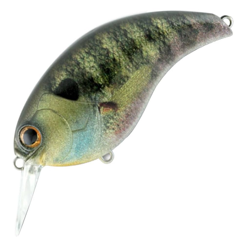 デプス イヴォーグ3.0 リアルブルーギル deps EVOKE3.0 8色 Amazon.co.jp: デプス イヴォーク3.0 ＃01リアルブルーギル