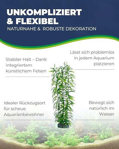 HOBBY Aquaristik Heteranthera I 34 cm I Naturgetreue Nachbildung I Versteckmöglichkeiten und Orientierungspunkte für die Revierbildung I Keine Beeinflussung der Wasserqualität
