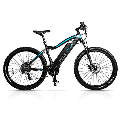magnum classic ebike