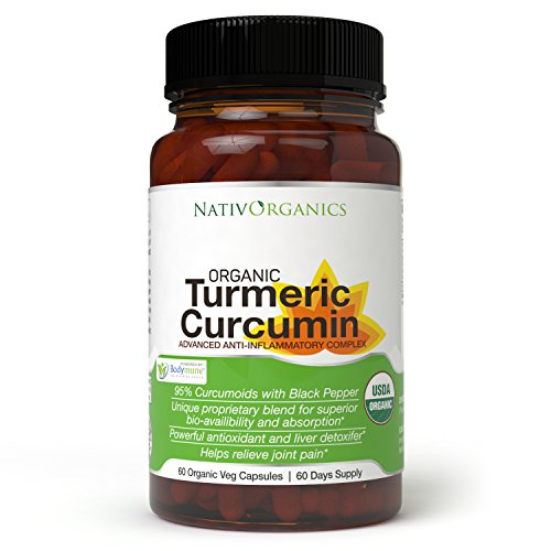 Organic Turmeric Curcumin Supplement  100% Vegan Organic Turmeric Capsules with Black Pepper Plus Ginger, Amla & Goji for Max Absorption - Highest Potency 95% Curcumoids - 60 Caps
