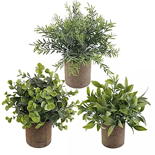 OUZIFISH Set of 3 Mini Potted Artificial Eucalyptus Plants Plastic Fake Green Rosemary Plant for Home Decor Office Desk Room Decoration (3)