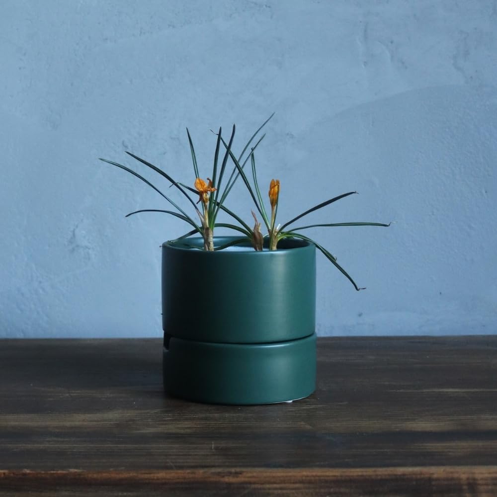 あ991 植木鉢　XL XLサイズで利用可能な植木鉢 | 観葉植物・お花の通販 AND PLANTS