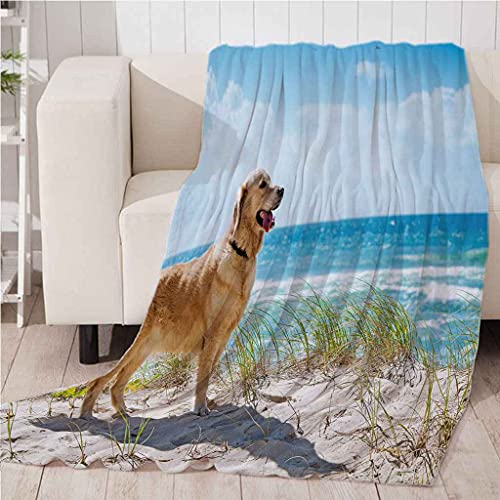 Couverture microfibre douce et chaude pour vos déplacements et soirées