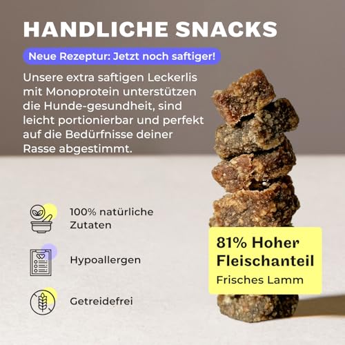 HEY HOLY Set 7 kg Trockenfutter & 1 x 200 g Snacks für Retriever 100% getreidefrei | Hundefutter & Leckerlis für ausgewachsene Retriever mit Lamm | Hochverträglich aus natürlichene Zutaten