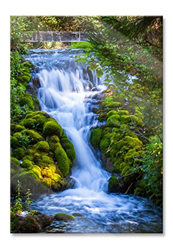 Pixxprint Glasbild, Wandbild aus Echtglas, Wasserfall im grünen Wald, 40x60 cm, inkl. Aufhängung und Abstandshalter Pixxprint Glasbild, Wandbild aus Echtglas, Wasserfall im grünen Wald, 40x60 cm, inkl. Aufhängung und Abstandshalter