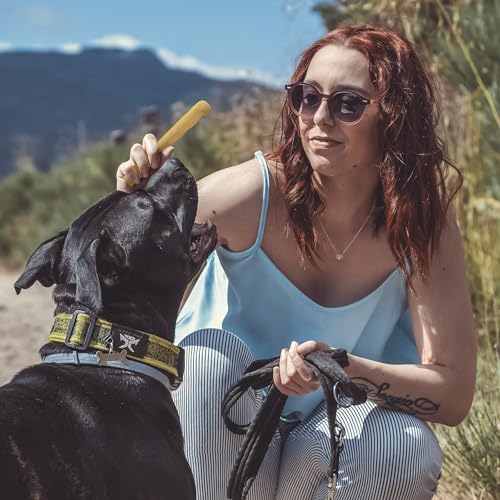 Wildfang® Hartkäse Kaukäse für Hunde M (ca. 85 g) für Hunde bis 30 kg – Kauspielzeug Hund aus Hartkäse, Härte wie Himalayan Yak Chews, Churpi-Käse-Sticks, Welpensnacks & Trainingssnacks, 1er Pack