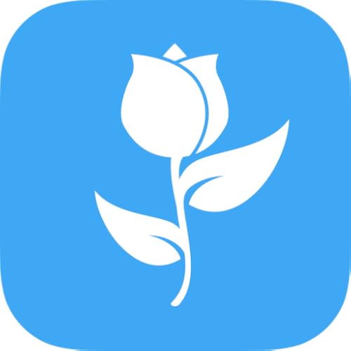 Flowers - Fast Delivery - //medicalbooks.filipinodoctors.org