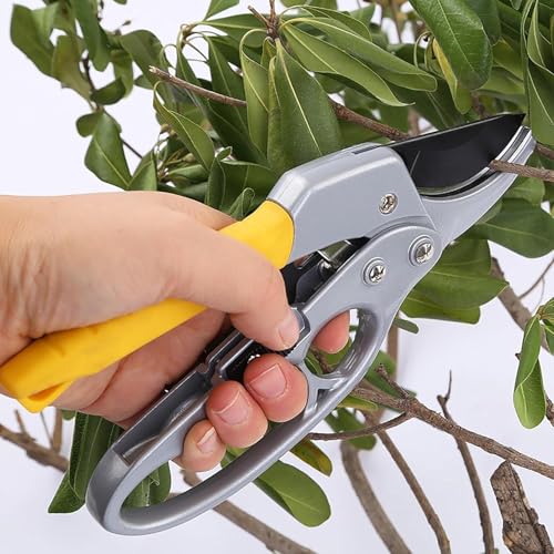 Zancia Gardening Scissor Stainless Steel Garden Snip with Safety L...
