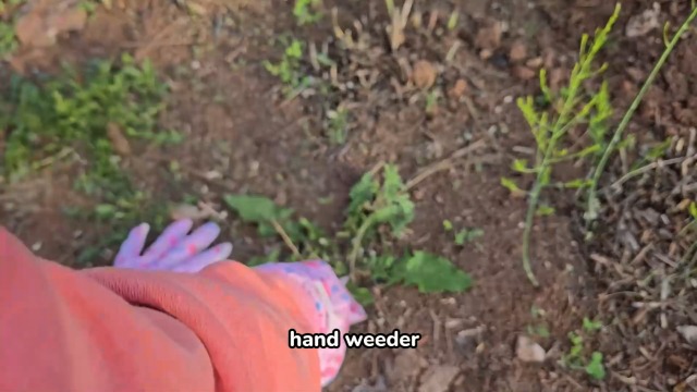 Set de jardinería Grenebo 10 piezas para mujer rosa miniatura 7