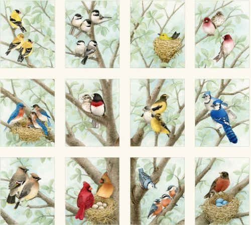 Beautiful Birds 23-inch Panel from Elizabeth's Studios, Realistic Illustrations by Tracey Lizotte