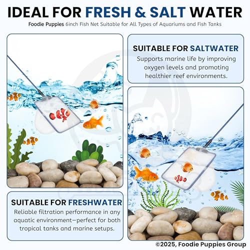 Image of Foodie Puppies Fish Net Cleaner for Aquarium /Fish Tank - 6inch | Nylon Net Safe for All Aquarium Fish, White Net with Blue Handle Quick Catch Mesh (Aquarium Fish Net 6inch)