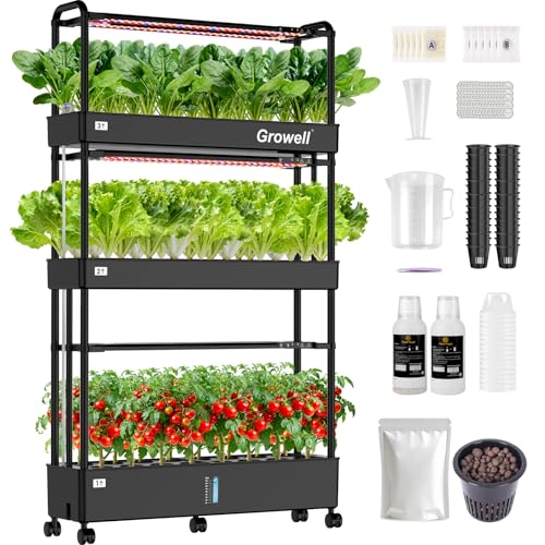 Hydroponic Indoor Garden Kit with 48 Pods and Lights