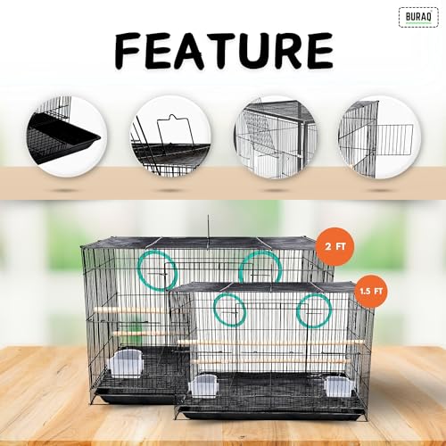 Image of BURAQ 2 Ft Metal Birds Cage With 3 Swing Bird Toys - Best For Love Bird Cages | Parrot | Parakeet | Hammock | Large Bird Cage (Size - 23.5 inch Long, 16.5 inch Wide And 16 inch Height), Black