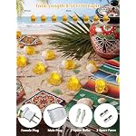 LED Beer Mug Camping String Lights, 8.5Ft Hawaiian Decor Lights Plug in - Image 3