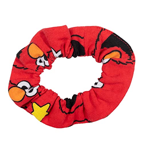 Sesame Street Dress and Scrunchie Infant to Little Kid Sizes (12 Months - 7-8)4