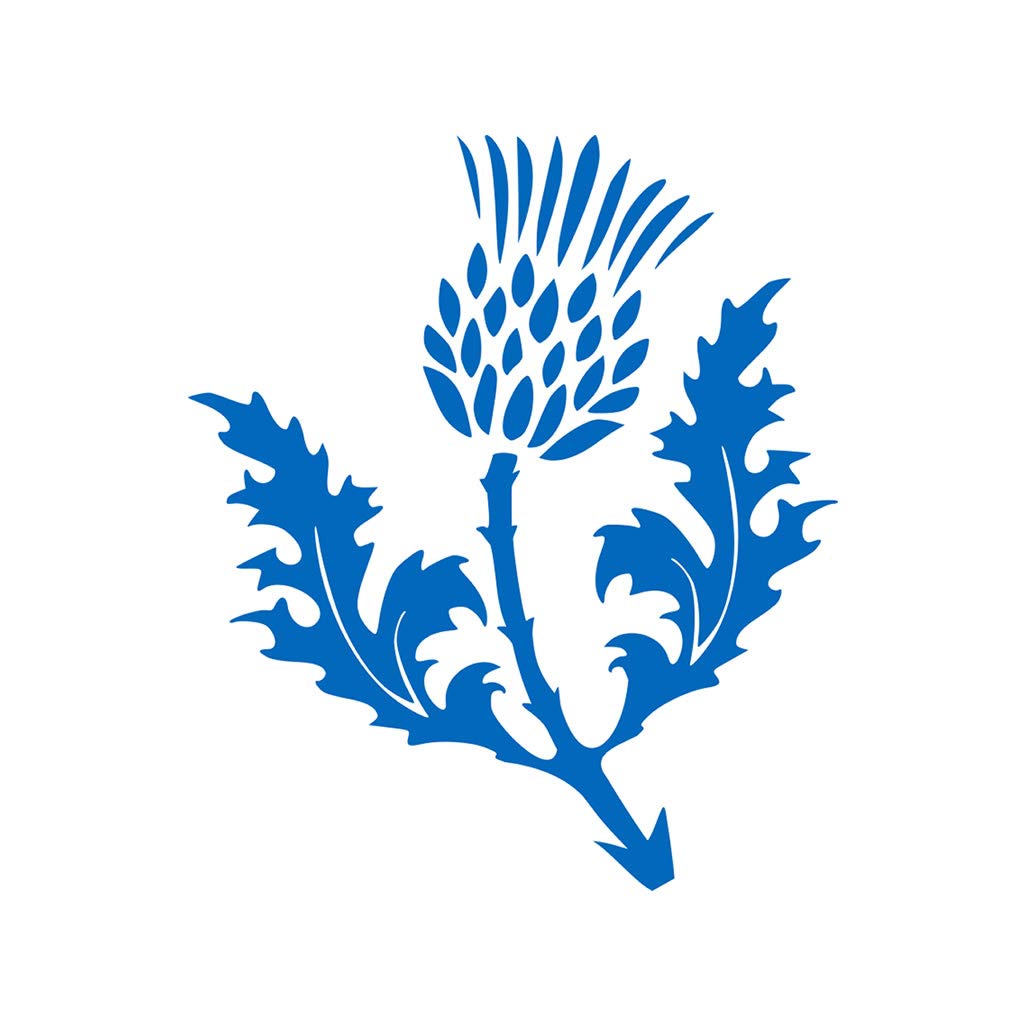 TENNER.LONDONSet of 5 Scottish Thistle Iron on Screen print Fabric Applique machine washable transfer Scotland Flower