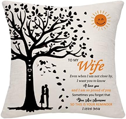 Inspirational Gifts for Brother from Sister Brother Cushion Cover Throw Pillow Cover for Brotehr Birthday Gifts Graduation Gifts (brother)