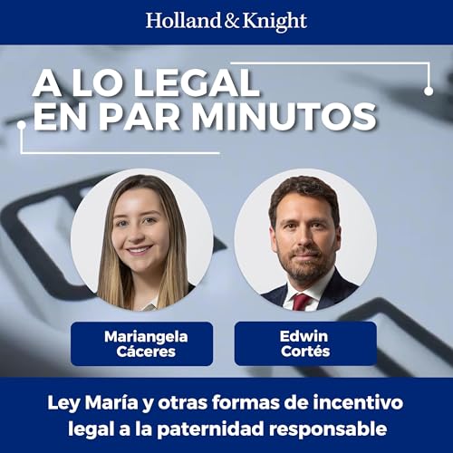Page de couverture de Ley María y otras formas de incentivo legal a la paternidad responsable