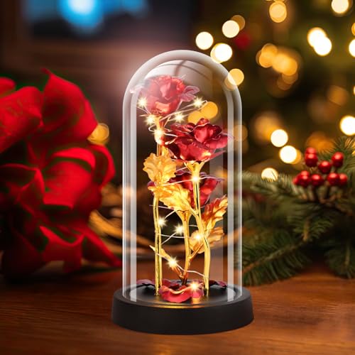 Tayfeim Christmas Rose Gifts for Women, Womens Gift for Christmas Birthday Gifts for Women Mom Wife Girlfriend, Light Up Rose in A Glass Dome, Rose Gifts for Valentines, Mothers Day, Womens Day (Red) - Thumbnail 2