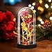 Tayfeim Valentines Day Rose Gifts for Her, Womens Gift for Birthday Gifts for Women Mom Wife Girlfriend, Light Up Rose in A Glass Dome, Rose Gifts for Valentines, Mothers Day, Womens Day (Red)