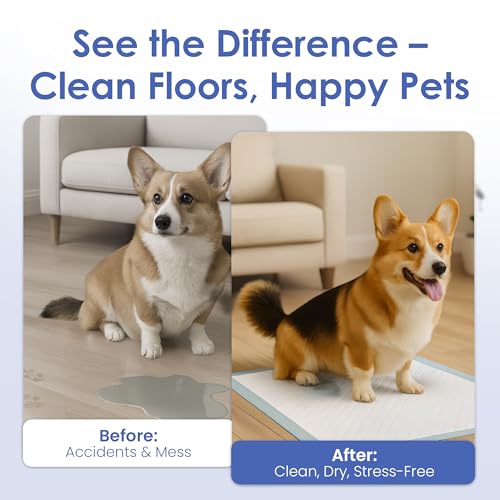 American Kennel Club Scented Puppy Training Pads with Ultra Absorbent Quick Dry Gel – 22 x 22 Pee Pads for Dogs - Fresh Scented - Pack of 100