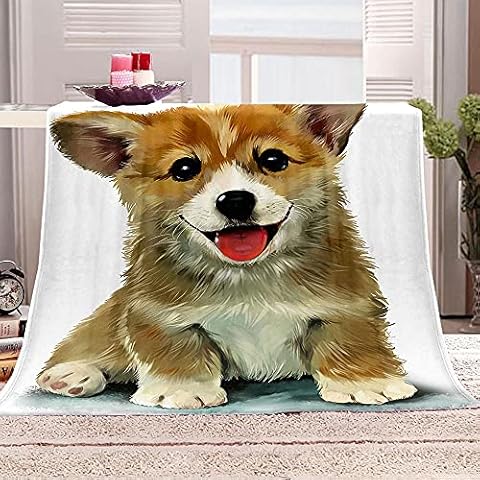 BWBJJ Flannel Blanket Corgi 27.6x39.4 inch 3D Printed Flannel Blanket Soft Warm Throw Blanket Cover