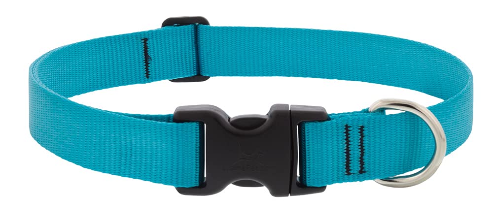 Collier pour chien de 2,5 cm de large en nylon haute qualité