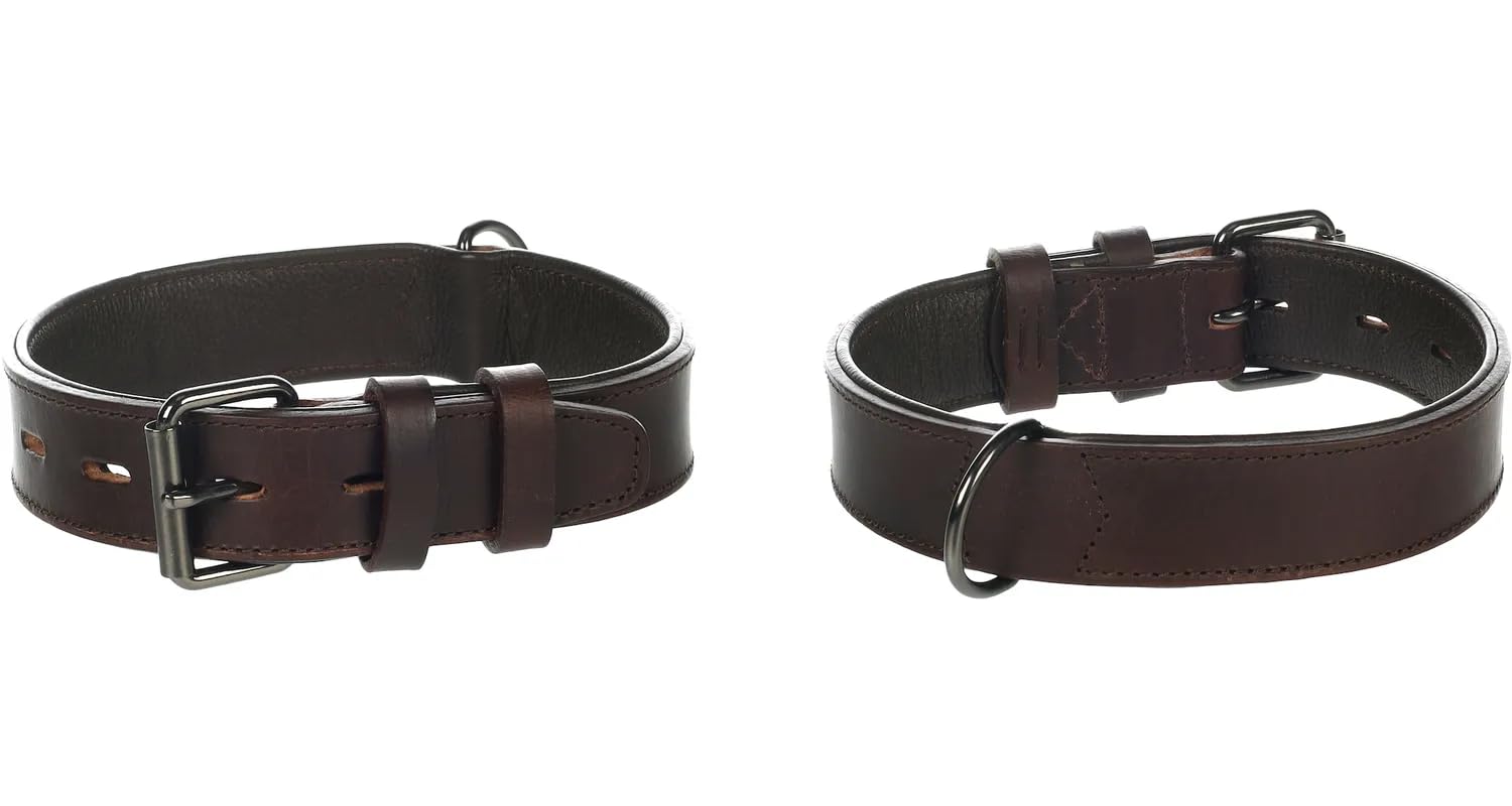 Collier rembourré pour chien Denver Flamingo idéal pour balades en forêt