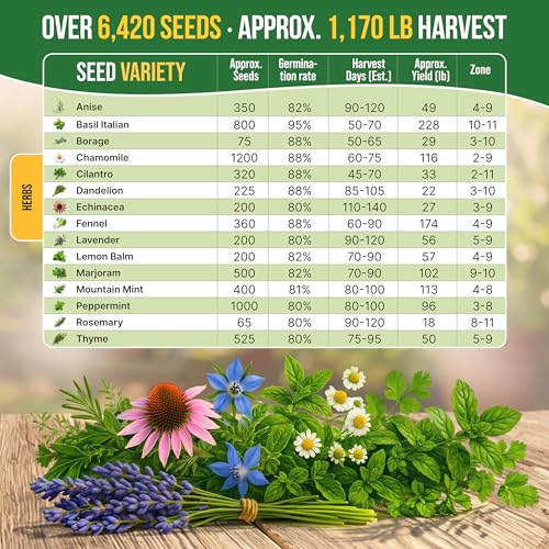 Organo Republic 15 Medicinal & Tea Herb Seeds Variety Pack 6,420+ Non-GMO Heirloom Garden Seeds for Indoor & Outdoors, Including Anise, Borage, Cilantro, Chamomile, Dandelion, Rosemary Seeds - Image 4