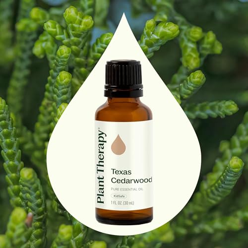 Aceite Esencial Cedarwood Texas 30 mL Puro y Sin Diluir miniatura 3