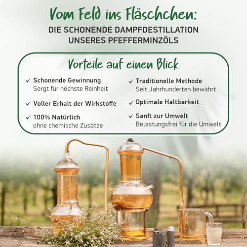 BIO PFEFFERMINZÖL | 100% Natürlich & Pur - Ätherisches Öl | Minzöl - | Aromatherapie - Lindert Kopfschmerzen | Therapeutisches Öl