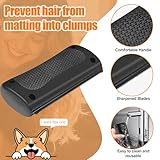 SJACXANM B0FN7N4YHJ lato 4