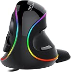DELUX Rechargeable Ergonomic Mouse Wireless, 4000DPI Reduce Wrist and Hand Pain Vertical Mouse with USB Receiver and BT1 + BT2, 6 Buttons and Removable Palm Rest(M618PD-Black)