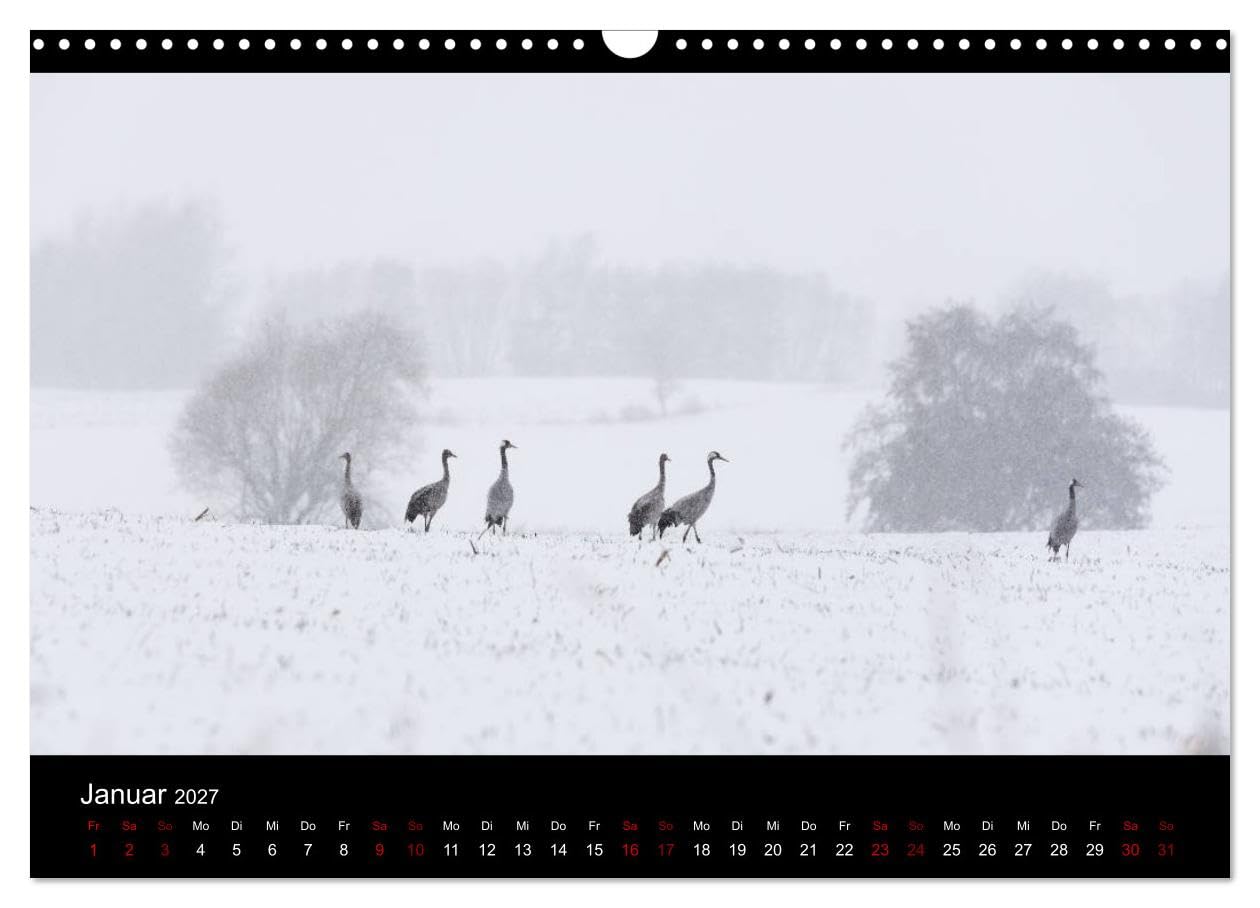CALVENDO - Naturwunder Norddeutschlands (Wandkalender 2027 DIN A3 quer), Monatskalender: Naturfotografien von Laura Kranich