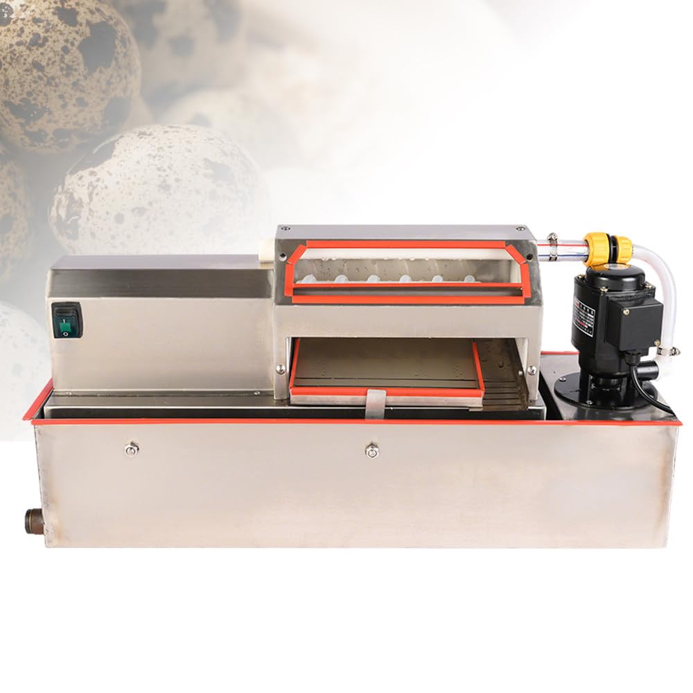Coquillage automatique pour œufs de caille, 35 kg/h, circulation de l'eau, acier inoxydable, moteur 25 W pour restaurants et œufs marinés