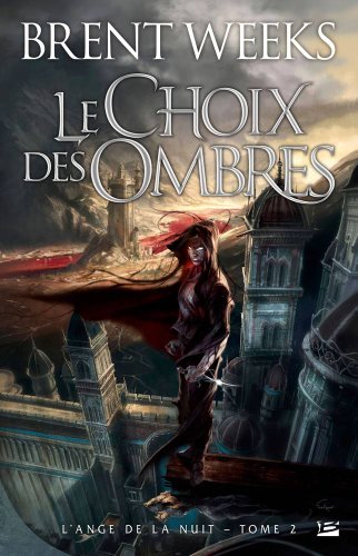 L'Ange de la Nuit T02 Le Choix des ombres (Fren... [French] 2352943280 Book Cover