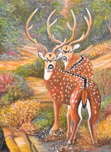 Image of Deer greeting cards, 5X7 inches with blank envelopes for each card