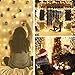 LOMEZI Window Curtain String Light, 300 LED 9.8ftX9.8ft Twinkle Lights with USB, 8 Modes Remote Control for Home, Wedding, Bedroom, Indoor, Warm White