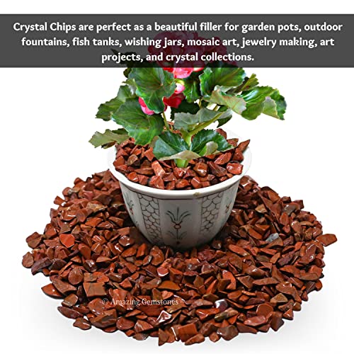 Image of Amazing Gemstone Red Jasper Crystal Chips Aquarium Gravel Rocks - Red Jasper Chips Bulk Fish Tank Gravel, Small Tumbled Stone Chips and Tiny Crystals for Decoration (AAA Grade) (1000+ Carat Chips)