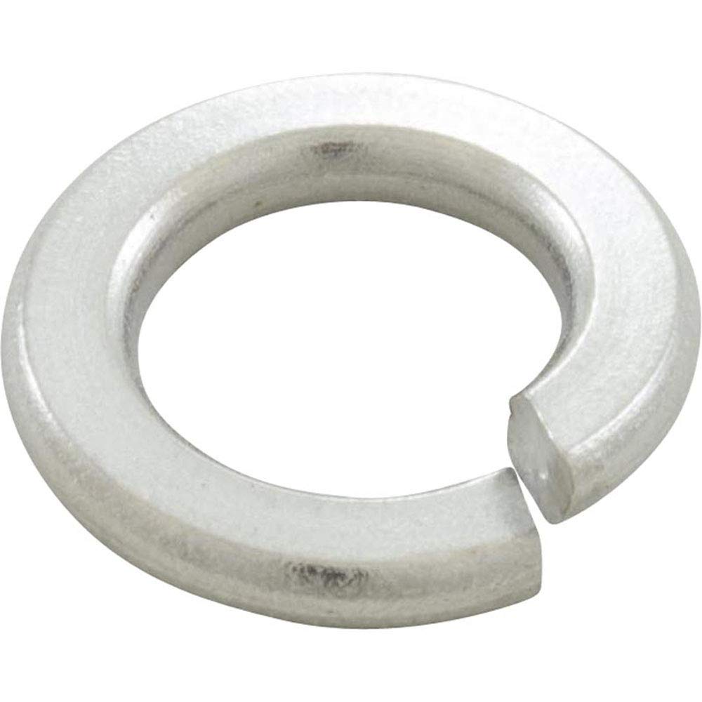 350063 18-8 Stainless Steel Washer Split Lock Replacement EQ-Series Commercial Pool and Spa Pump-image-40