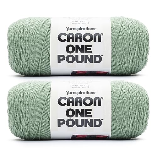 Image of Caron One Pound Succulent Yarn - 2 Pack of 16oz /453.6g - Acrylic - #4 Worsted (Medium) - 812 Yards - Knitting & Crochet