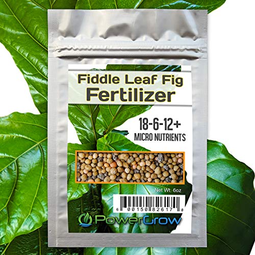 Top 13 Best fertilizer for fig tree For 2023 Maine Innkeepers Association