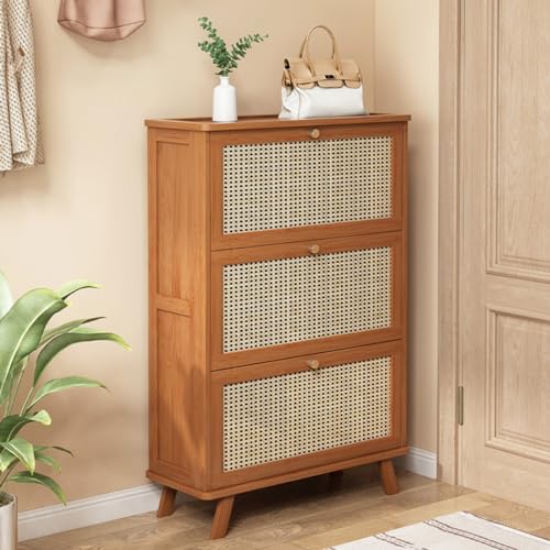 Armoire à chaussures d'entrée en rotin pour couloir intérieur et extérieur abrité