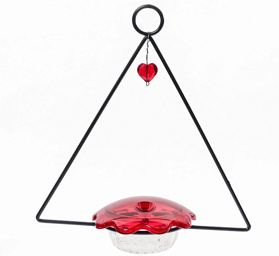 Birds Choice HSF Hummingbird Feeder, Swing Hanging Heart Bird Feeder, 3 Ounces, Red