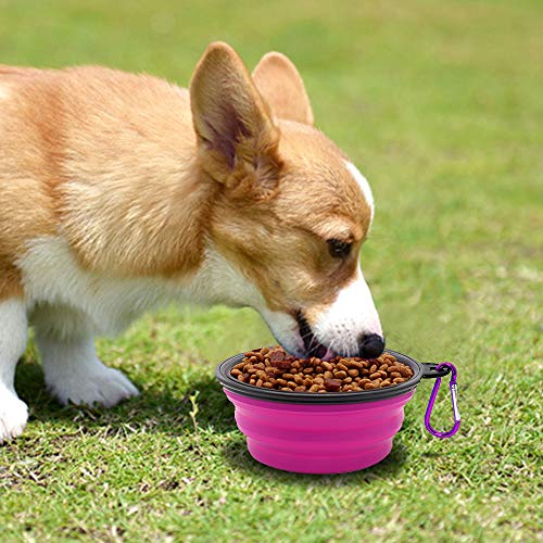 Image of Collapsible Dog Bowl, 2 Pack Collapsible Dog Water Bowls for Cats Dogs, Portable Pet Feeding Watering Dish for Walking Parking Traveling with 2 Carabiners (Small, Green+Purple)