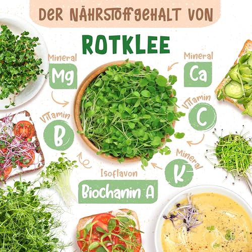 ZenGreens® - Bio Rotklee Samen - Wähle zwischen 10, 200g und 500g - Klee Samen mit Keimrate von über 97% - Kleesamen Keimsprossen - Rotklee Saatgut zum Sprossen ziehen -