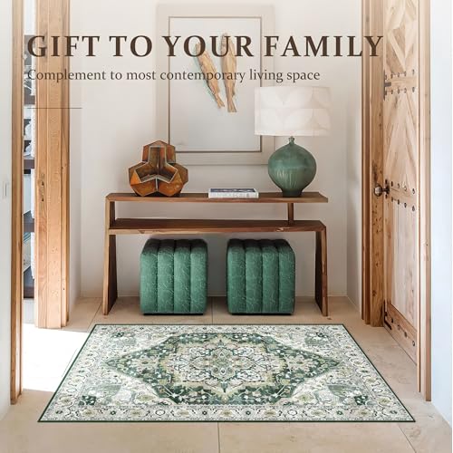 Deerly Vintage Green Area Rug 3x5 Small Entryway Rug Boho Thin Area Rugs for Living Room Non-Slip Lightweight Washable Rug for Kitchen Entryway Bedroom Dining Room Office, Green/Multi
