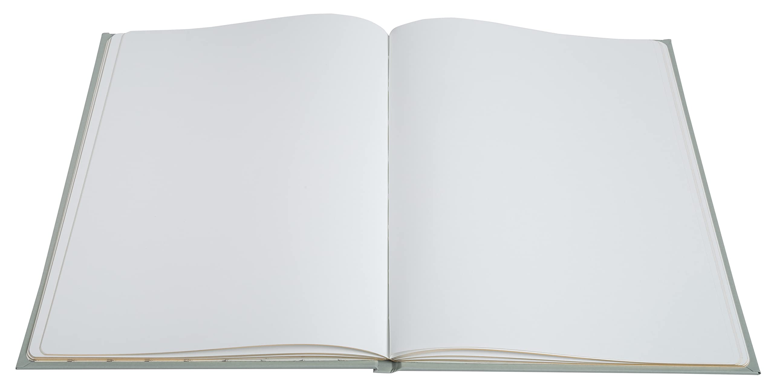 Exacompta - Ref. 47982E - 1 Guestbook 100 pages Ellipse gold edge - Green, vertical - Image 2